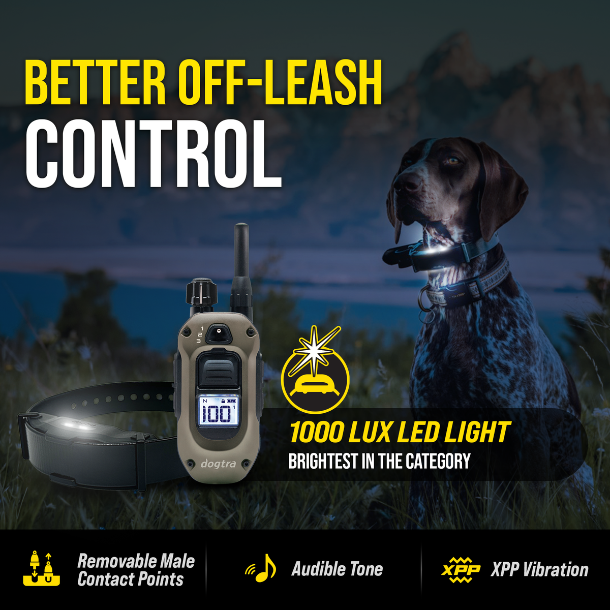 Remote Dog Training Collar product image 6