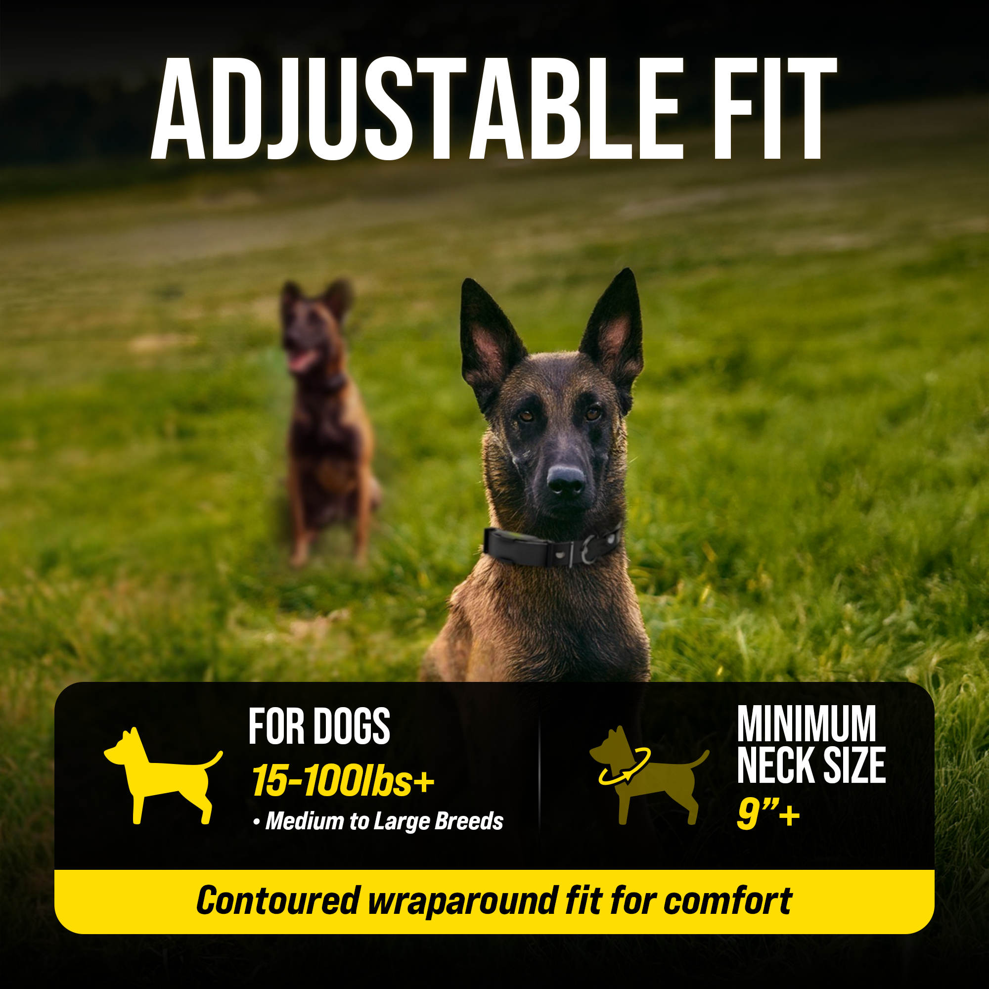 Remote Dog Training Collar product image 7