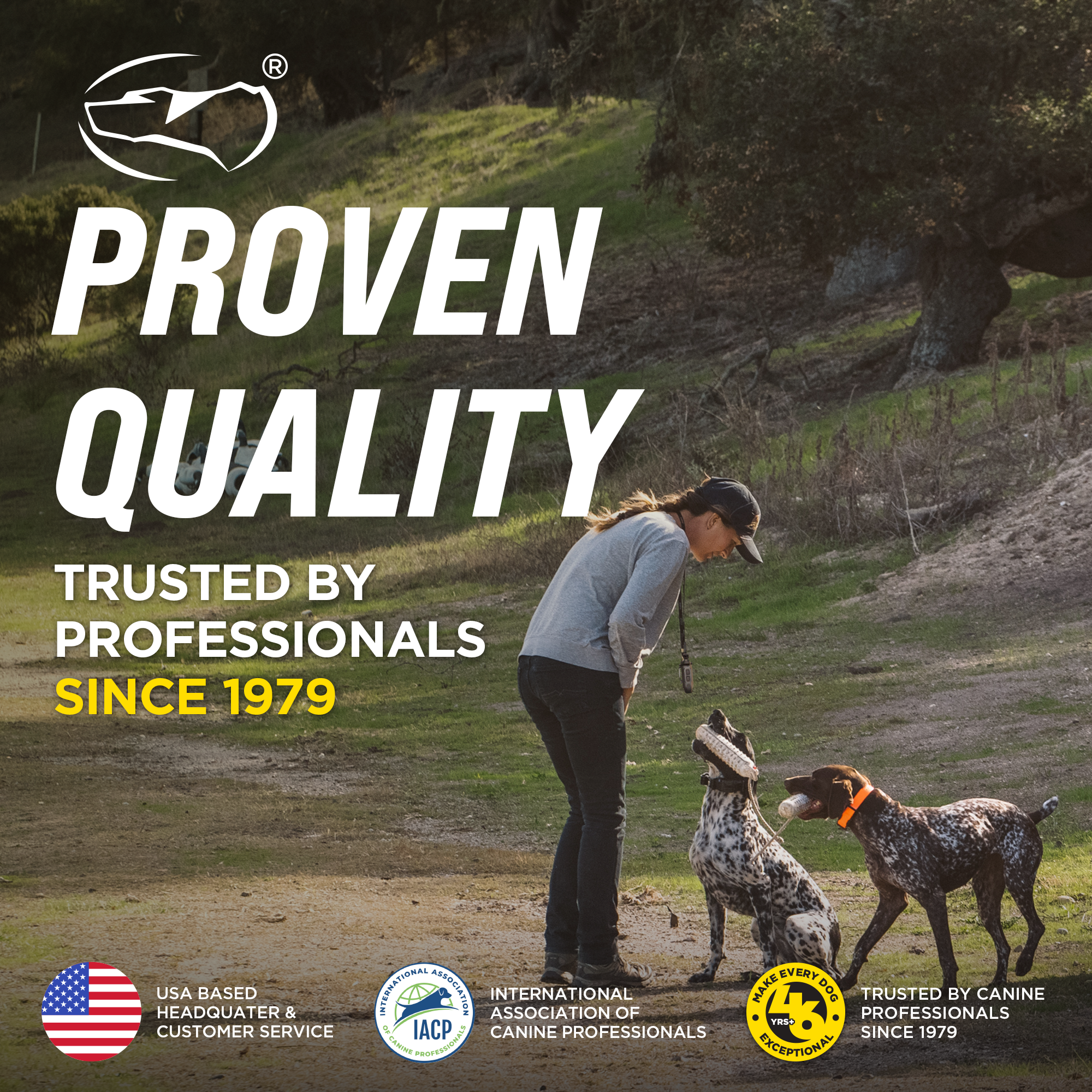 Remote Dog Training Collar product image 10