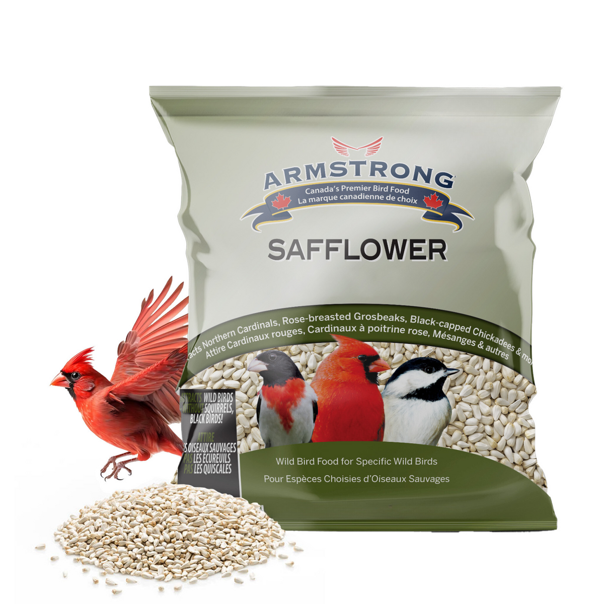 Safflower Bird Seed product image 1