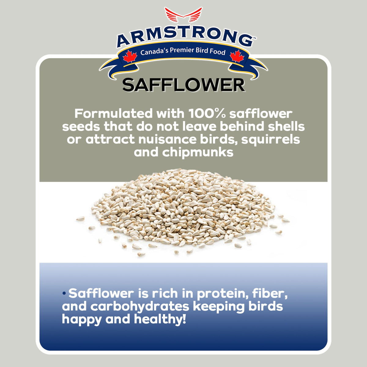 Safflower Bird Seed product image 4