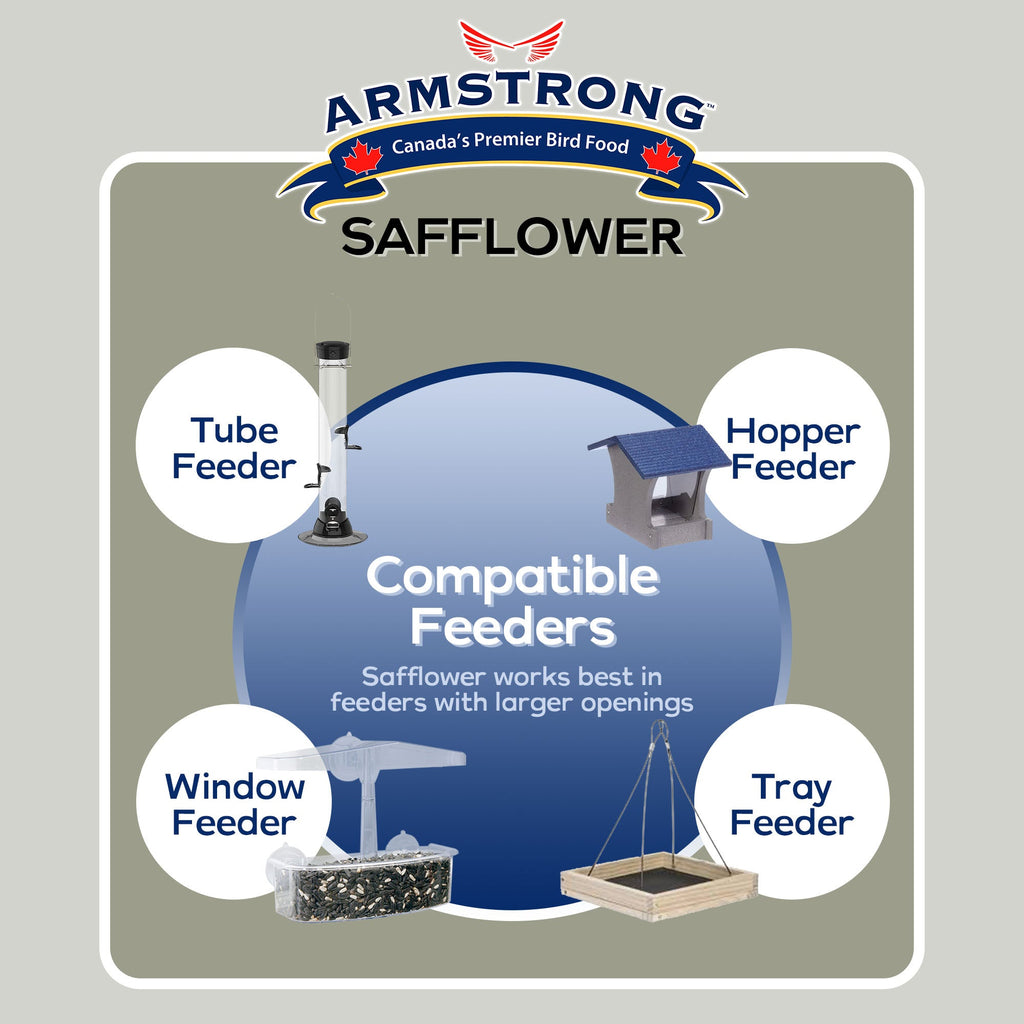 Safflower Bird Seed product image 5
