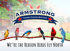 Safflower Bird Seed product image 6