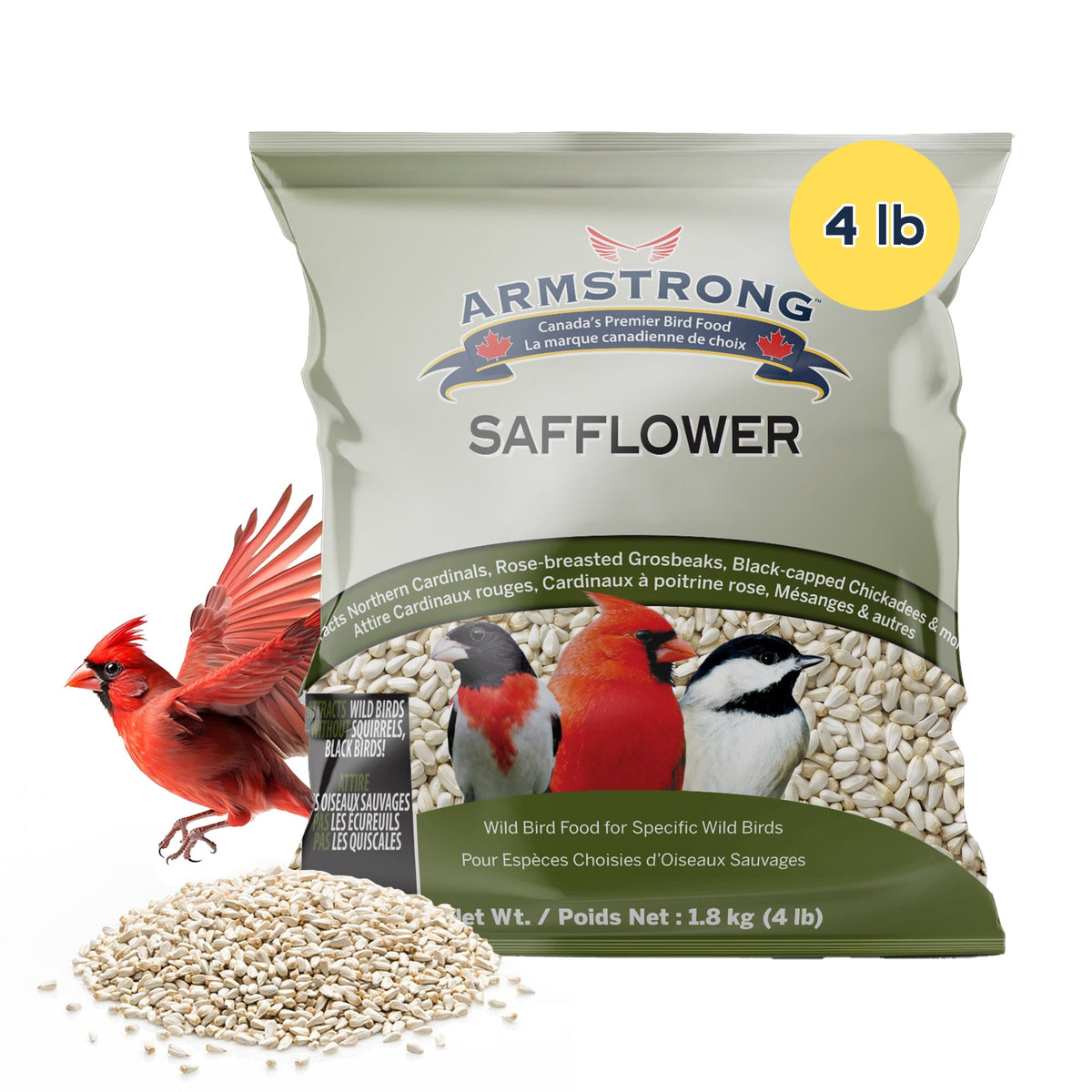 Safflower Bird Seed product image 7