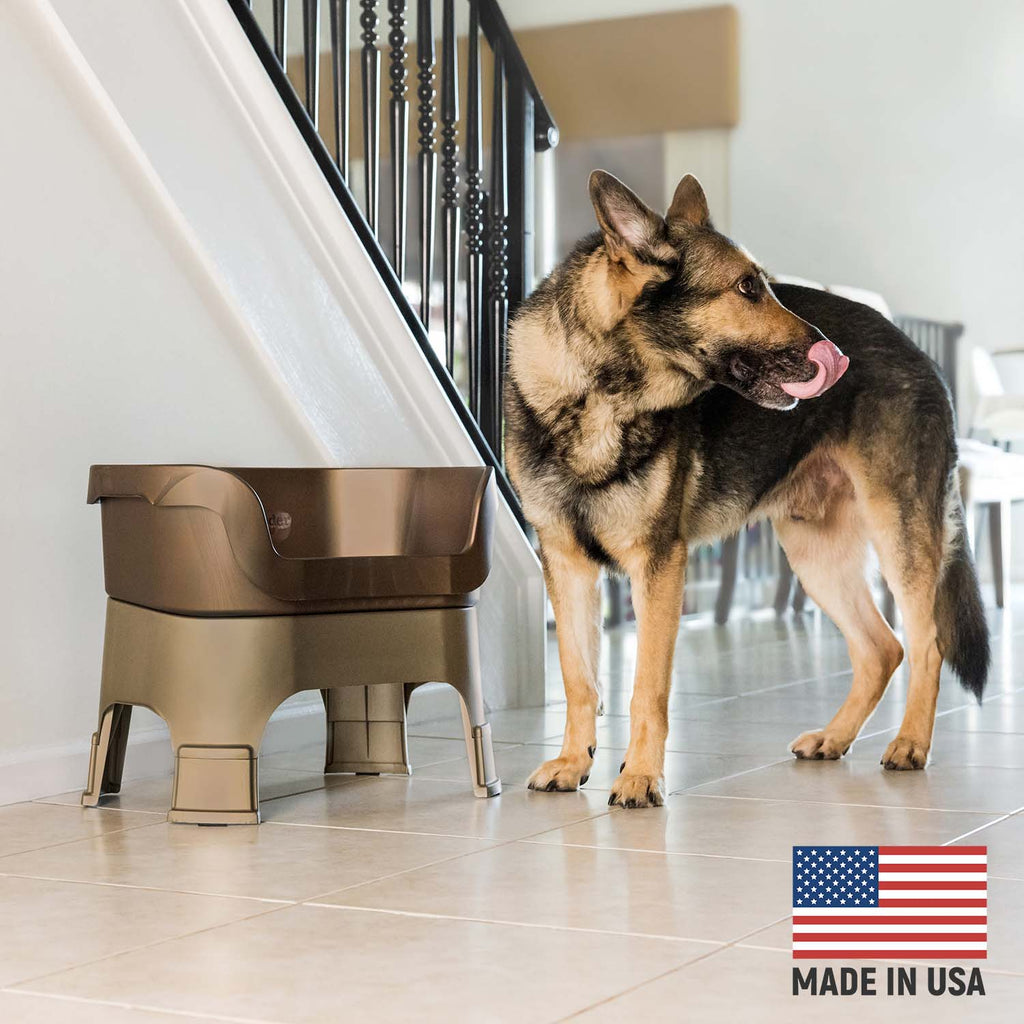 Elevated Spill-Containment Pet Feeder product image 125