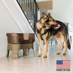 Elevated Spill-Containment Pet Feeder product image 125