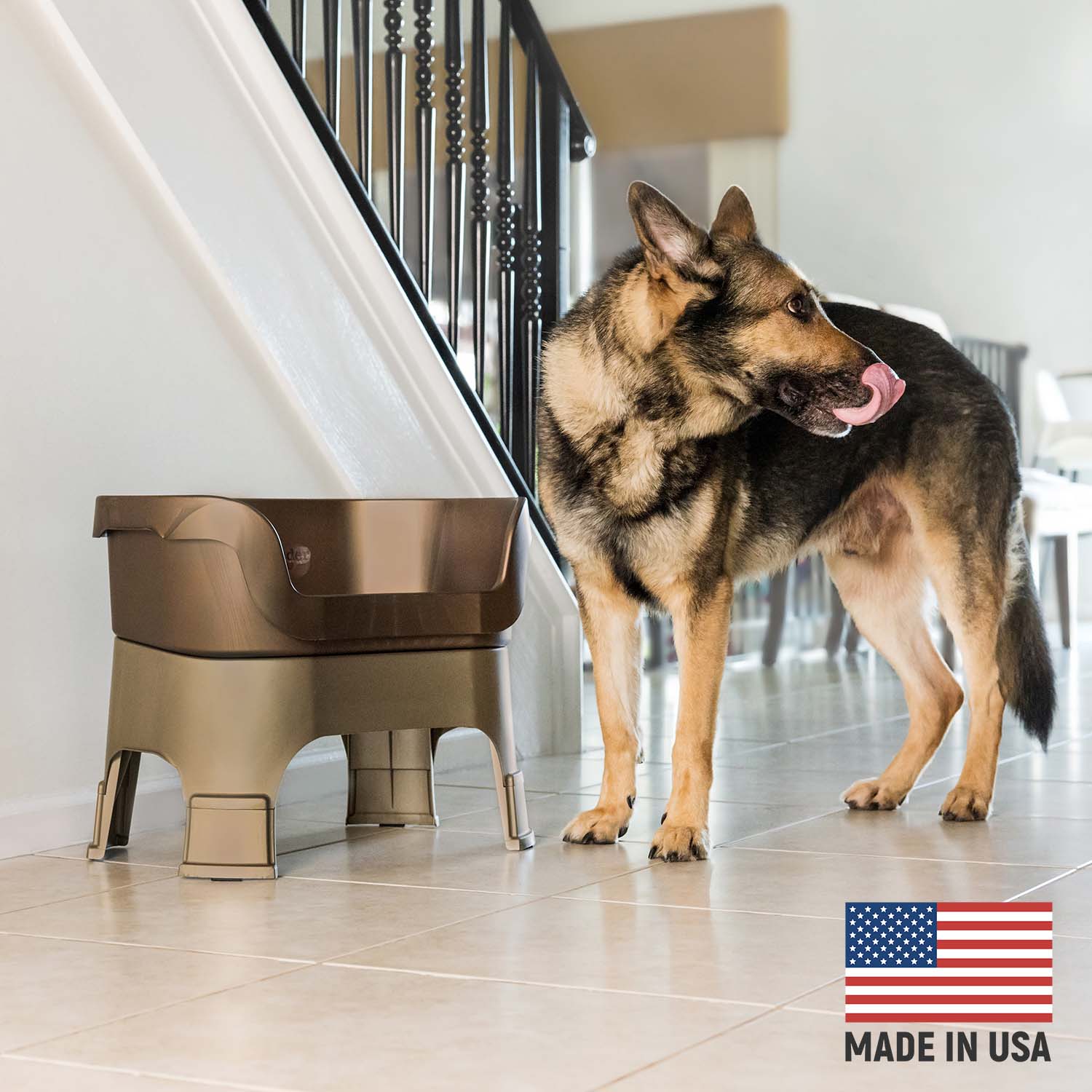 Elevated Spill-Containment Pet Feeder product image 125