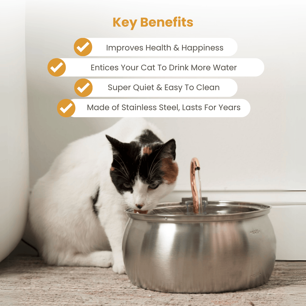 Cat Water Fountain Kit product image 5
