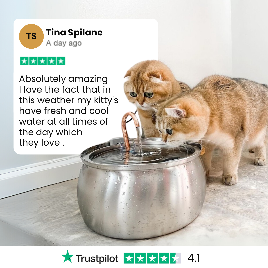 Cat Water Fountain Kit product image 9