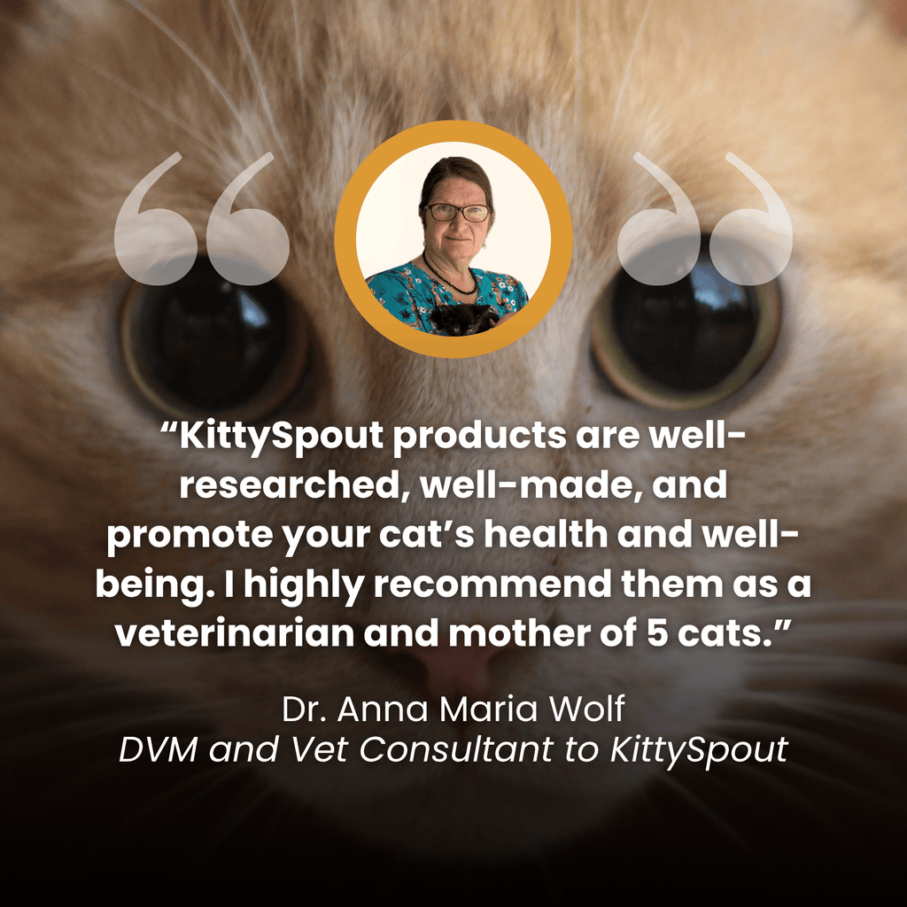 Cat Water Fountain product image 3