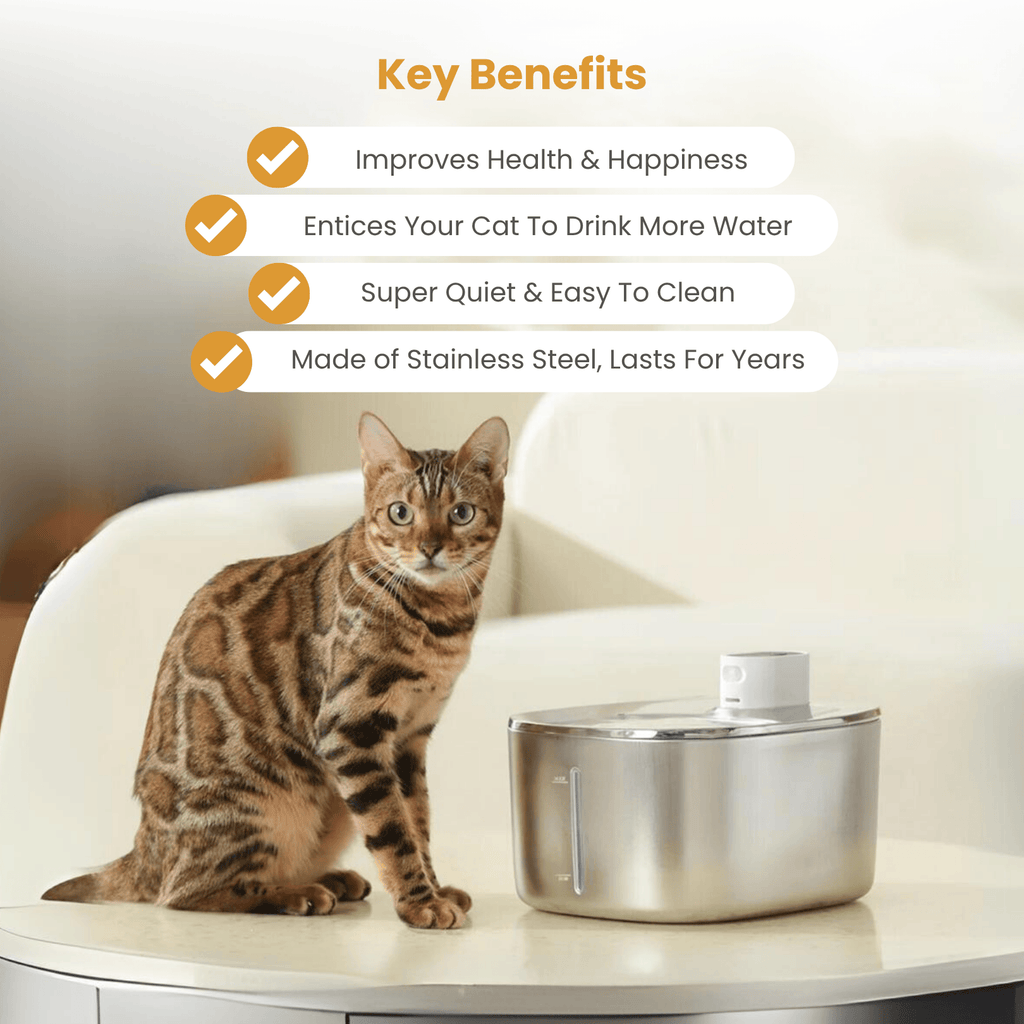 Cat Water Fountain product image 4