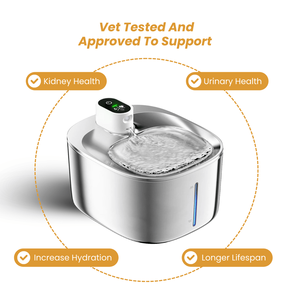 Cat Water Fountain product image 5
