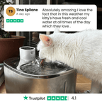 Cat Water Fountain product image 8