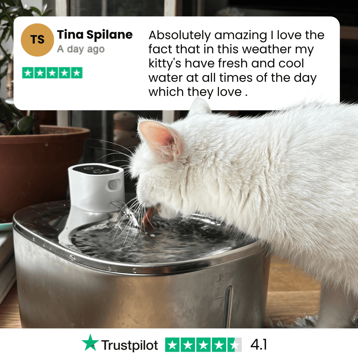Cat Water Fountain product image 8