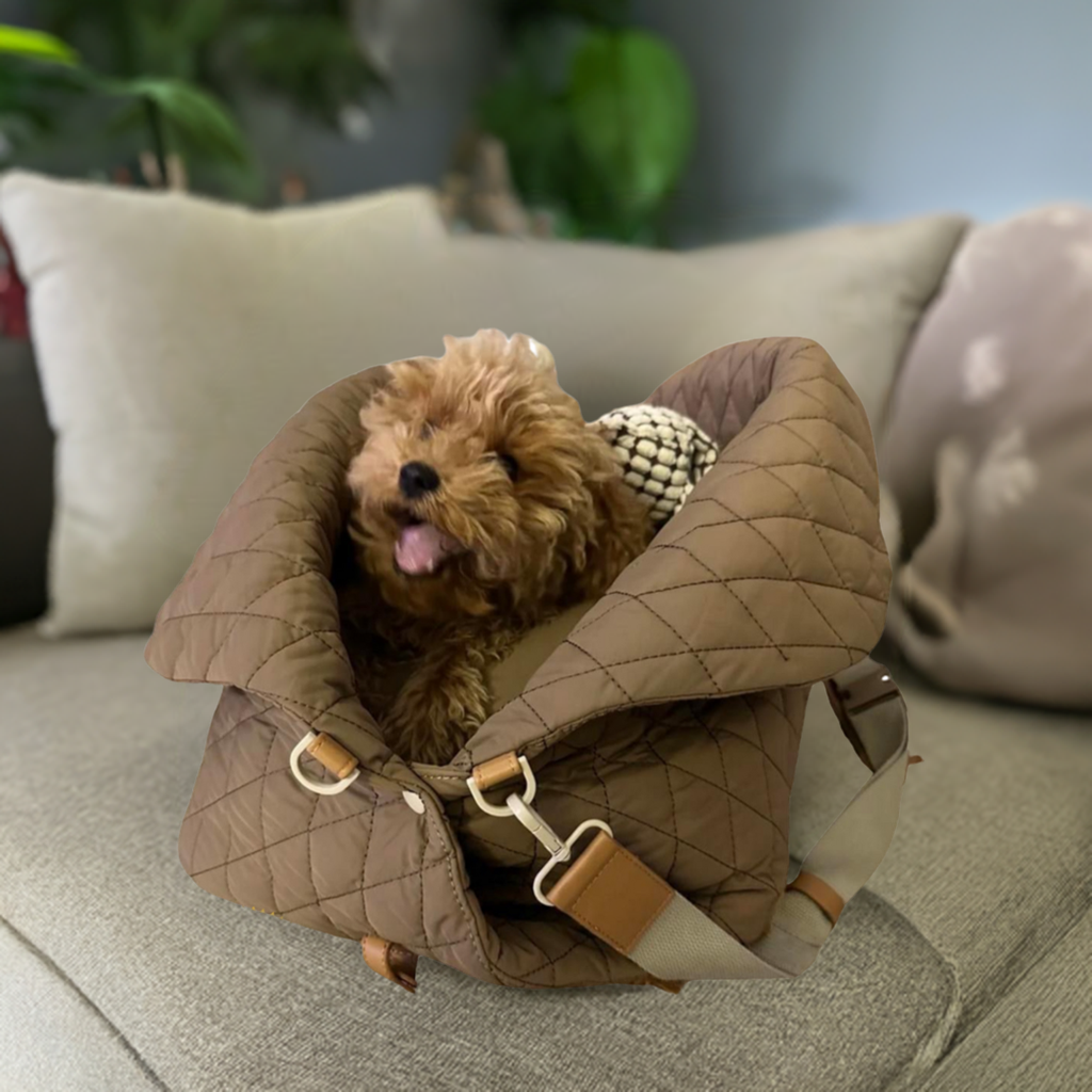 Soft-Sided Pet Carrier product image 4