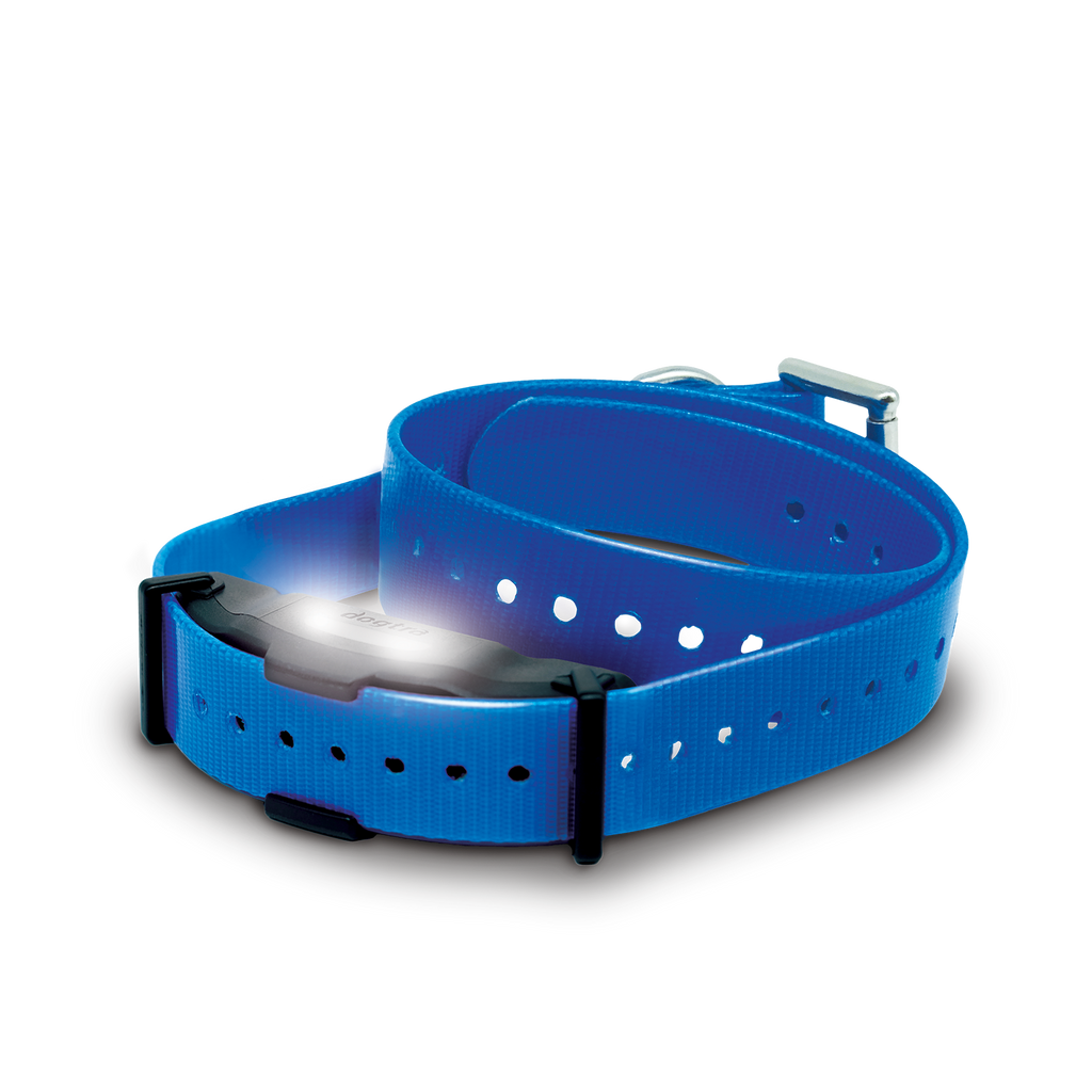 Dog Training Receiver product image 1