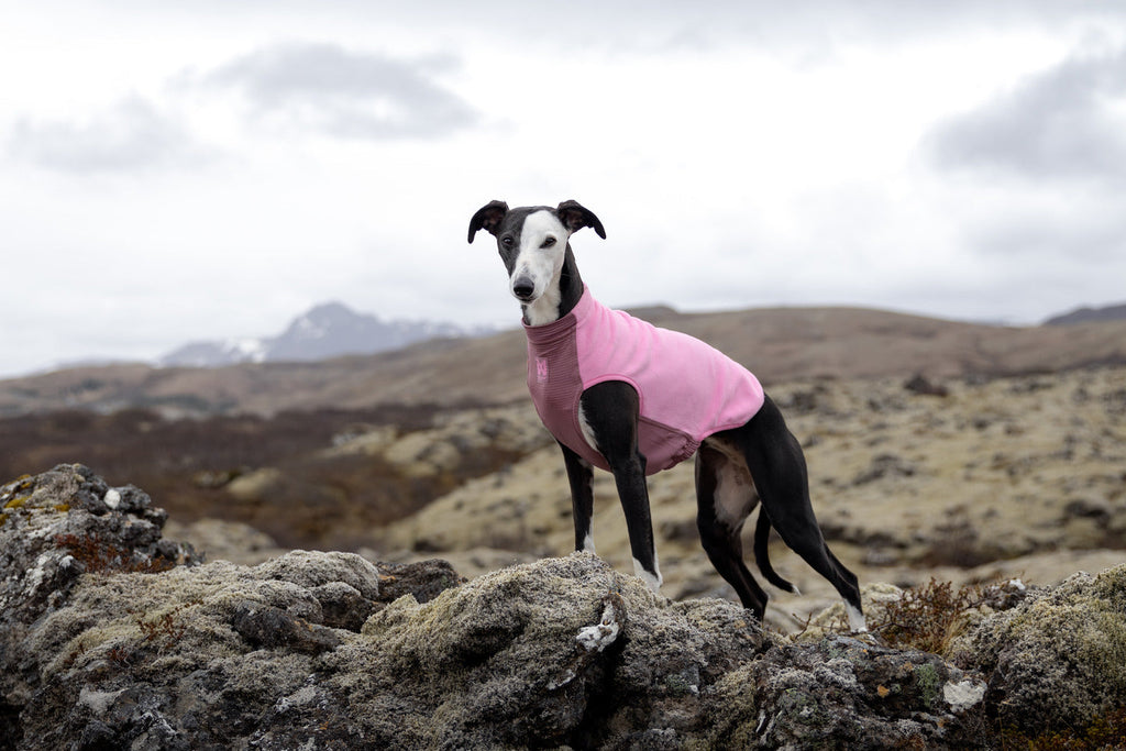 Dog Fleece Pullover product image 2
