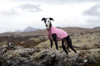 Dog Fleece Pullover product image 2