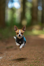 Dog Fleece Pullover product image 4