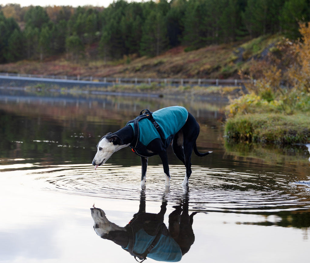 Dog Fleece Pullover product image 5