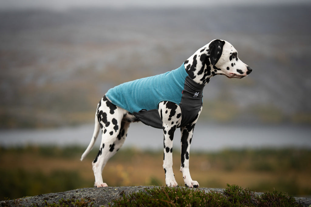 Dog Fleece Pullover product image 6