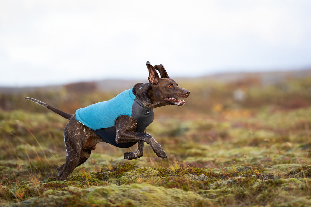 Dog Fleece Pullover product image 9