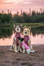 Dog Fleece Pullover product image 10