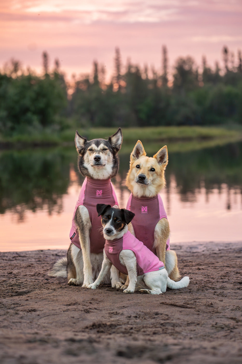 Dog Fleece Pullover product image 10