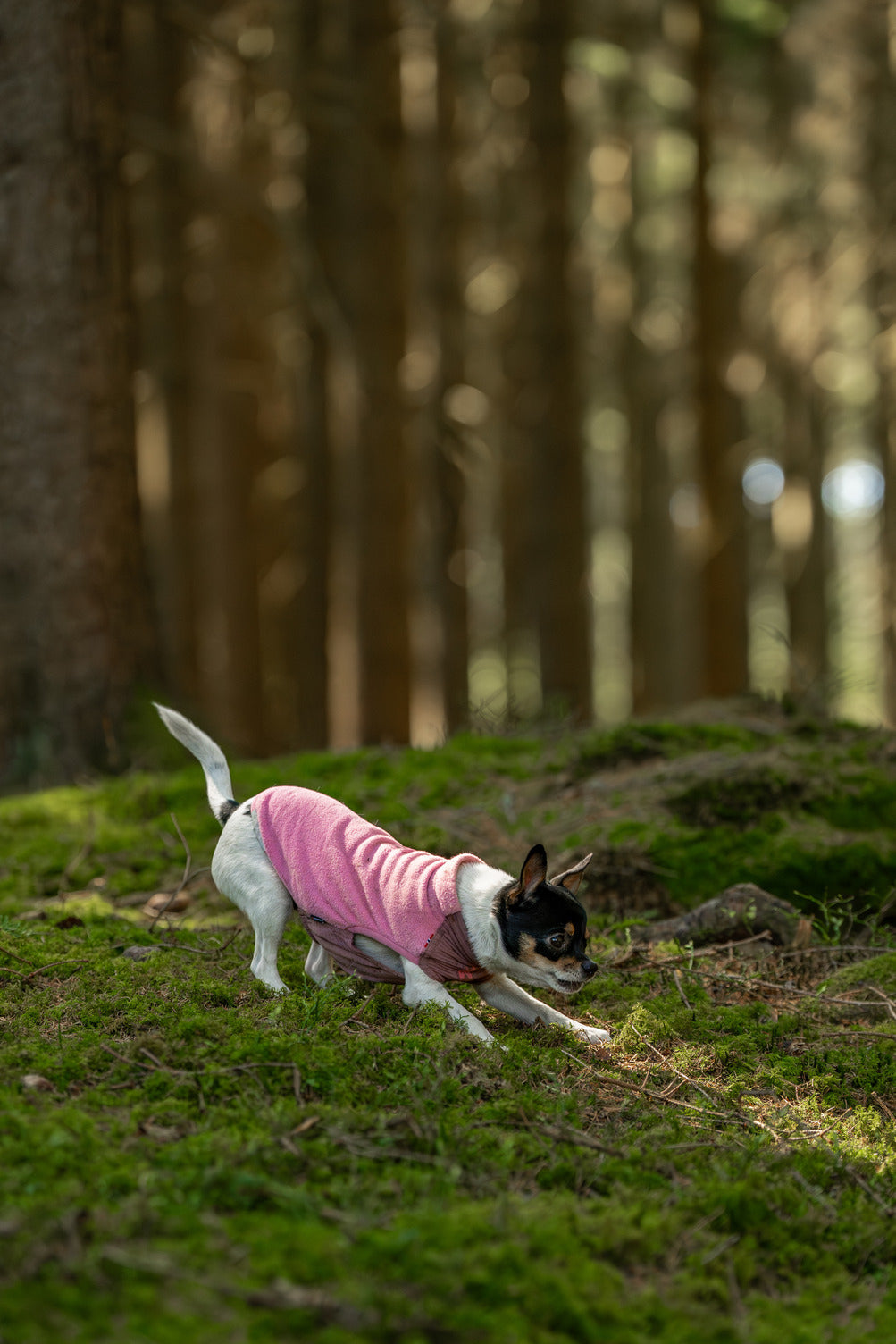Dog Fleece Pullover product image 11