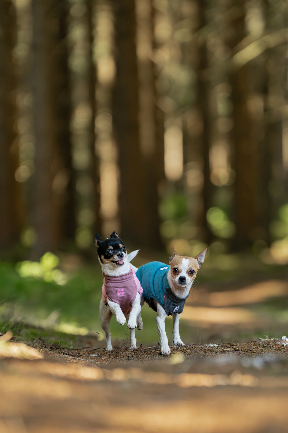 Dog Fleece Pullover product image 12