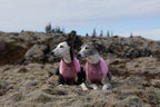 Dog Fleece Pullover product image 13
