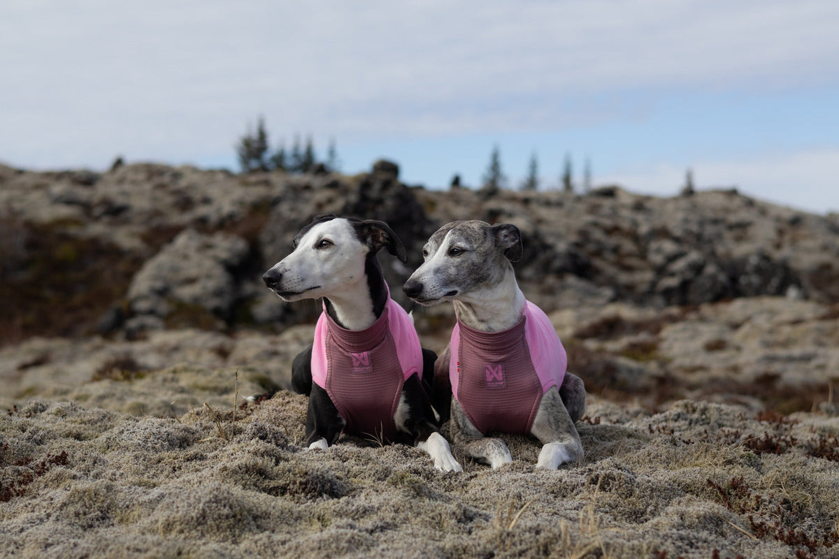 Dog Fleece Pullover product image 13
