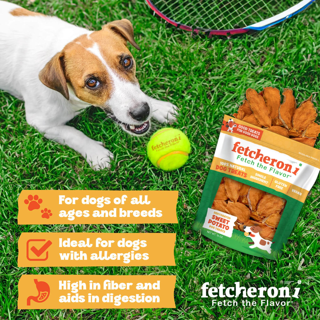 Dog Chew product image 4
