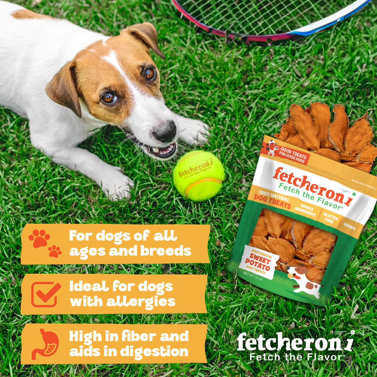 Dog Chew product image 9