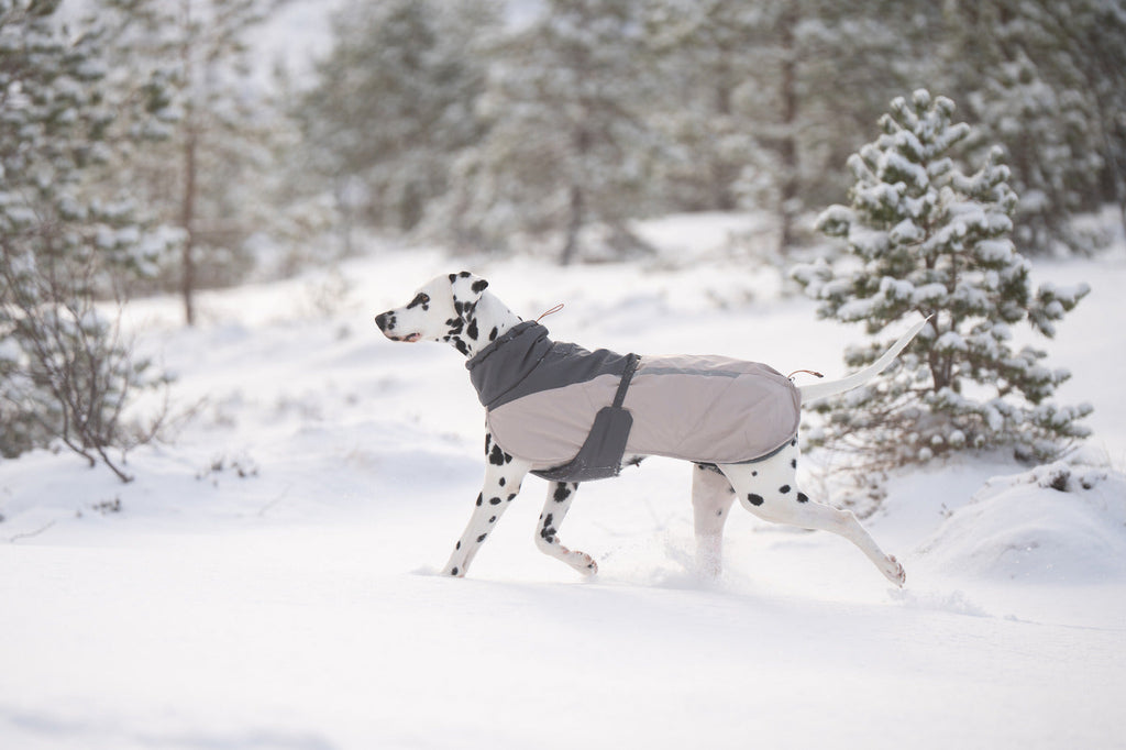 Winter Dog Jacket product image 2