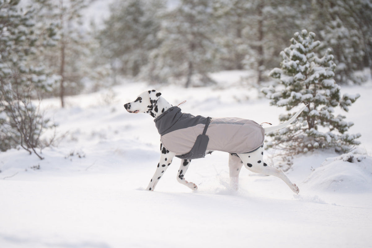 Winter Dog Jacket product image 2