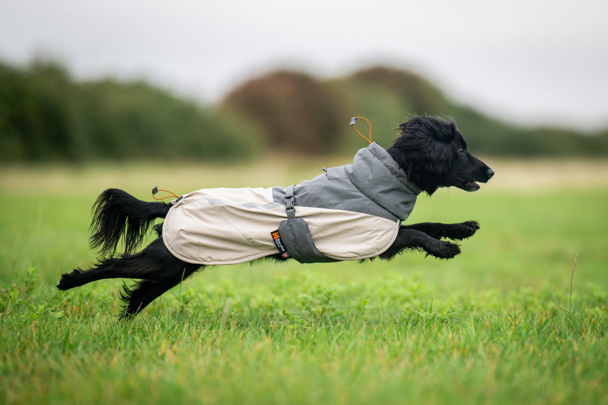 Winter Dog Jacket product image 4