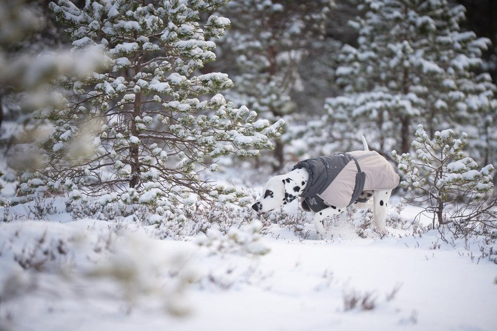 Winter Dog Jacket product image 8