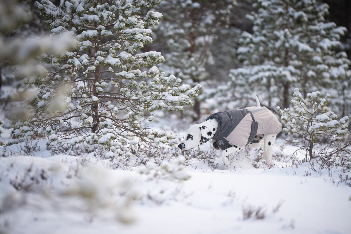 Winter Dog Jacket product image 8