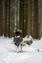 Winter Dog Jacket product image 9