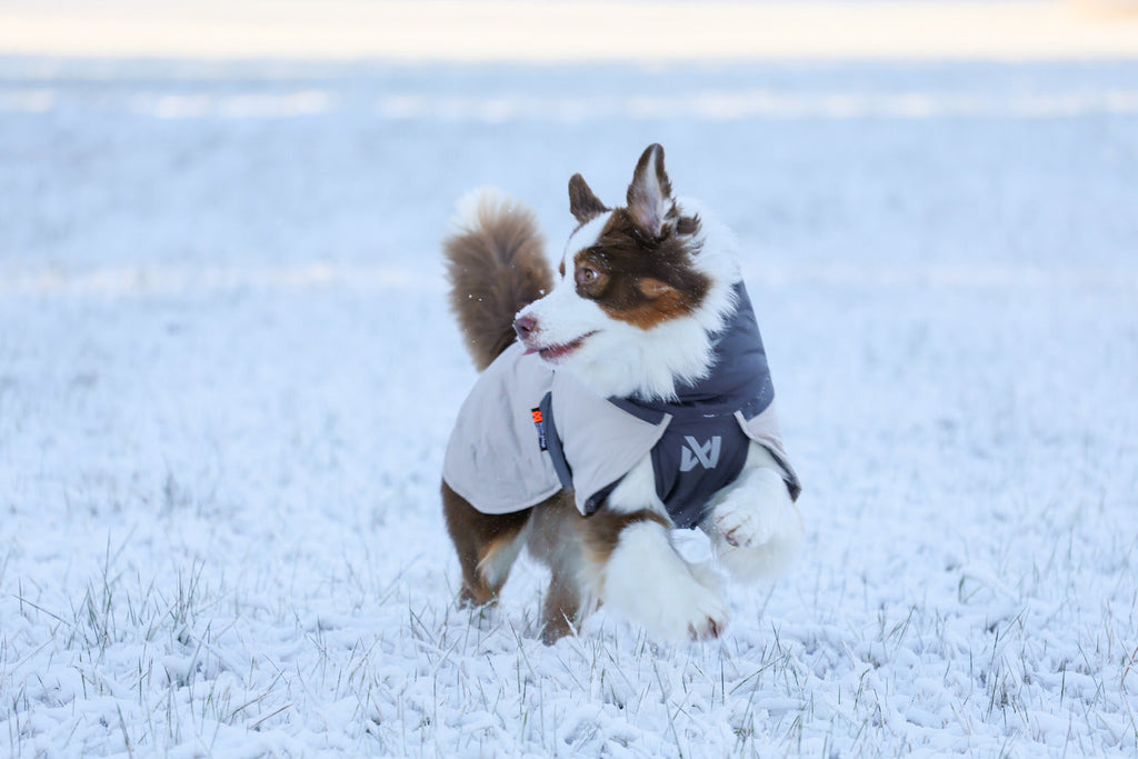 Winter Dog Jacket product image 10