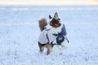 Winter Dog Jacket product image 10