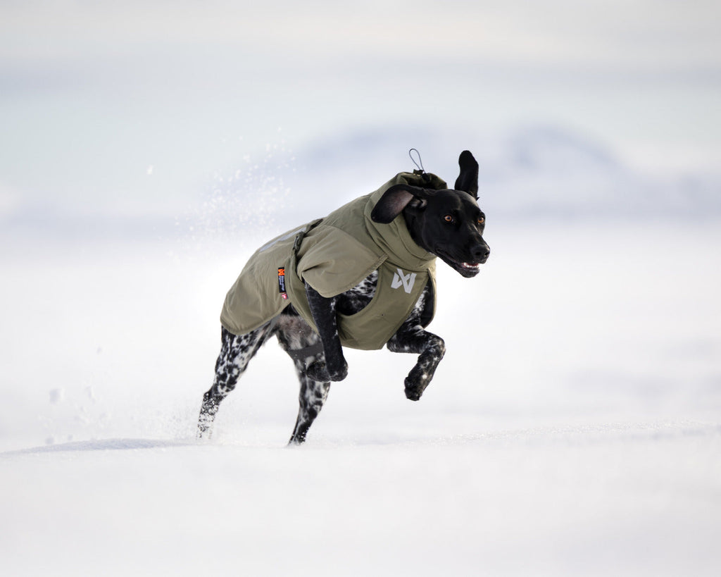 Winter Dog Jacket product image 12