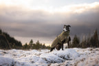Winter Dog Jacket product image 13