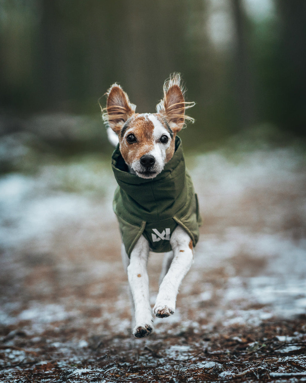 Winter Dog Jacket product image 14