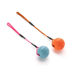 Fetch Ball Toy product image 1