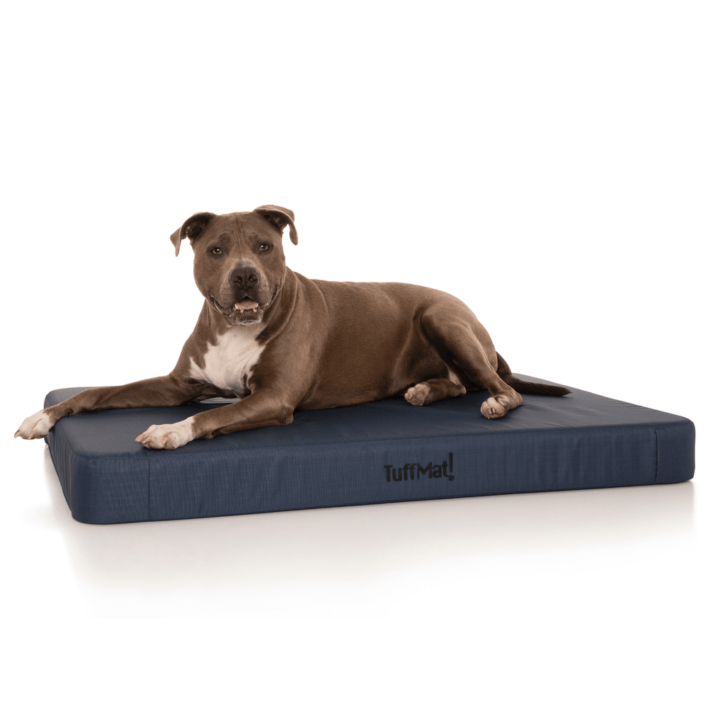 Waterproof Orthopedic Dog Bed product image 10