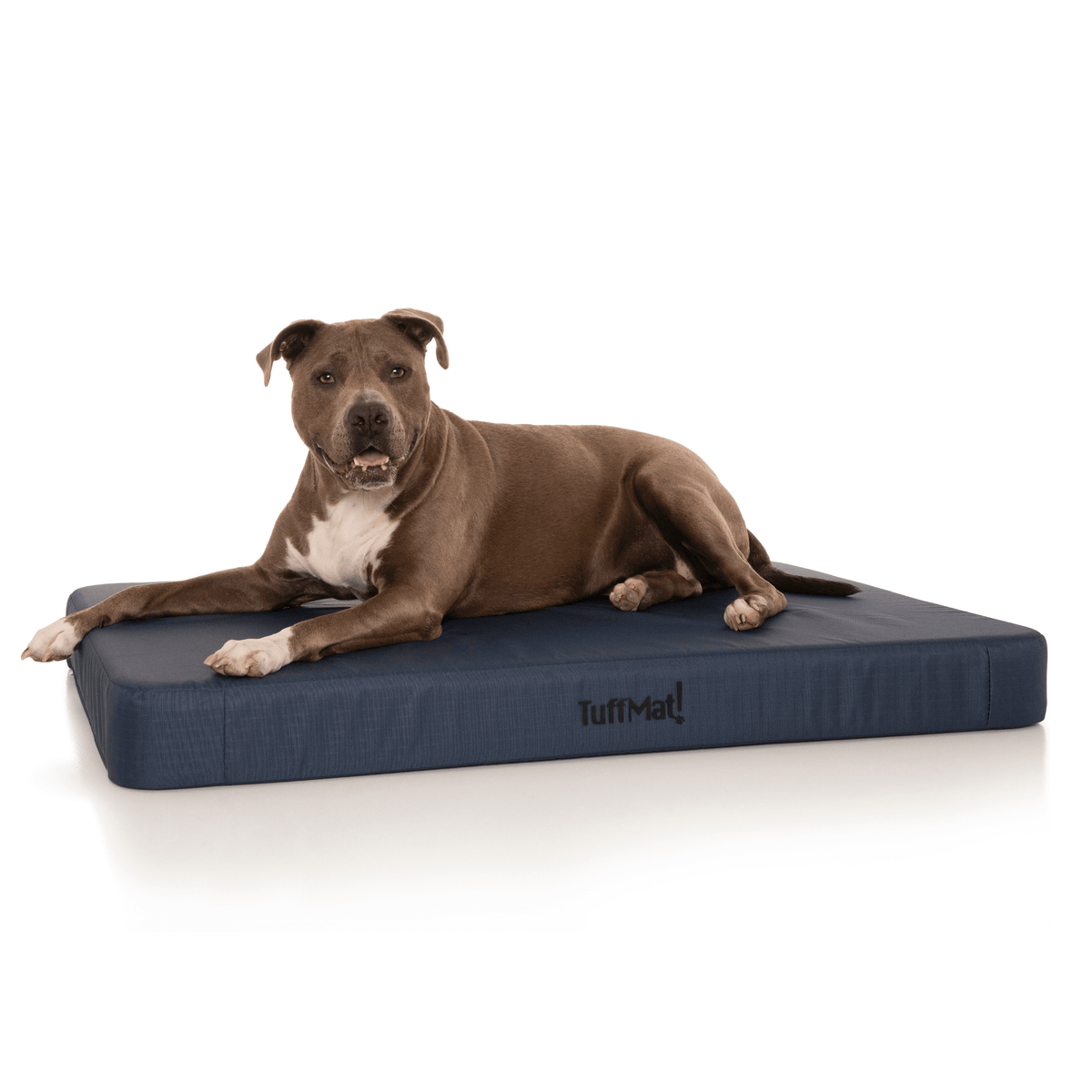 Waterproof Orthopedic Dog Bed product image 10