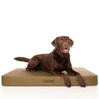 Waterproof Orthopedic Dog Bed Army Green / Small