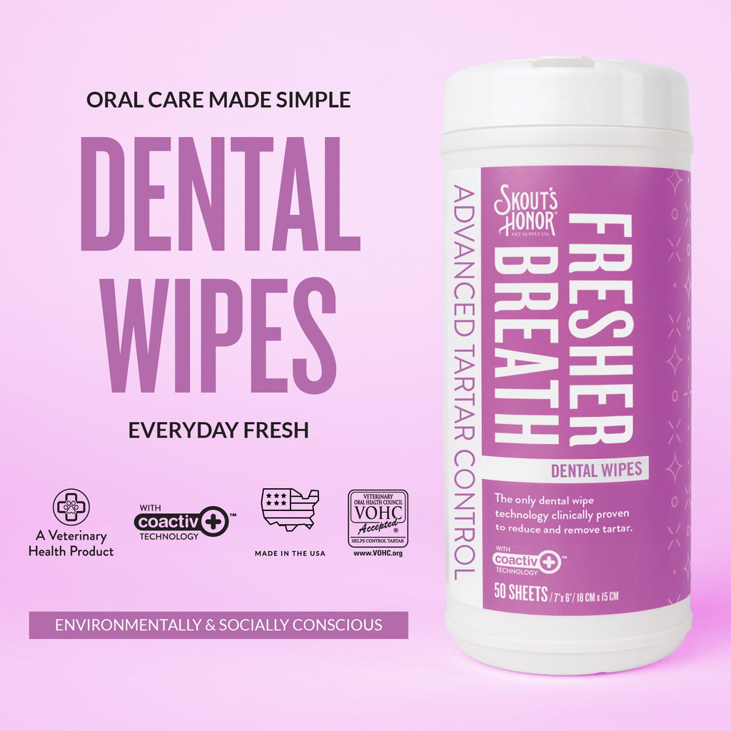 Dental Wipes product image 4